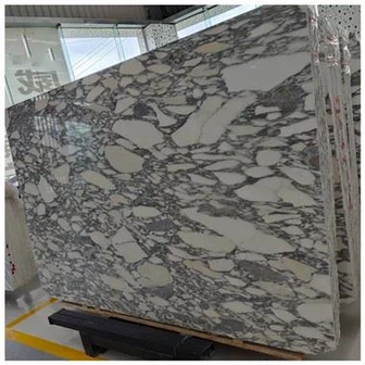Calacatta Corchia Marble