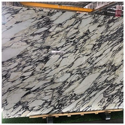Calacatta Viola Marble