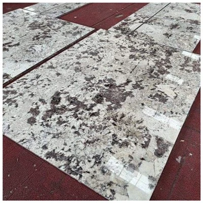 Splendor Dawb Granite Vuas
